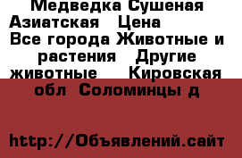 Медведка Сушеная Азиатская › Цена ­ 1 400 - Все города Животные и растения » Другие животные   . Кировская обл.,Соломинцы д.
